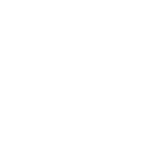 Partnership Building*